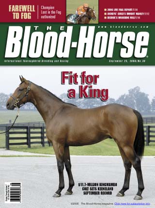 Picture of Kingmambo/Crown of Crimson colt at the Keeneland September Sale, 2006