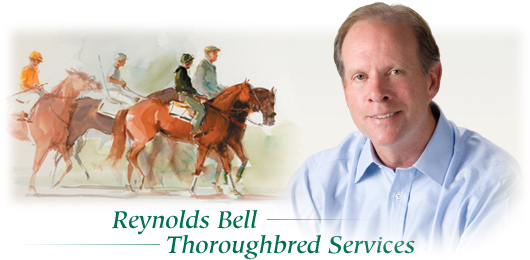 Reynolds Bell Thoroughbred Services